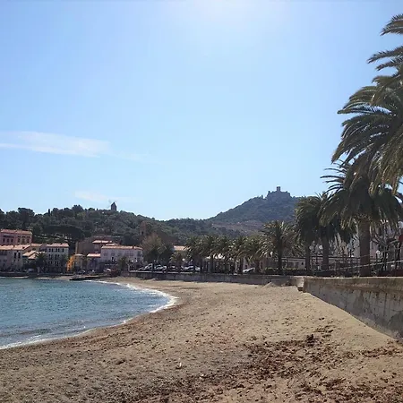 6lam16 Maison Typique Avec Toit-terrasse * Collioure